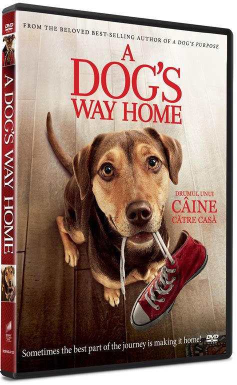 A Dog's Way Home Poster