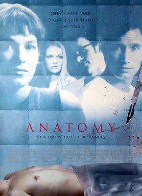 Anatomy Poster
