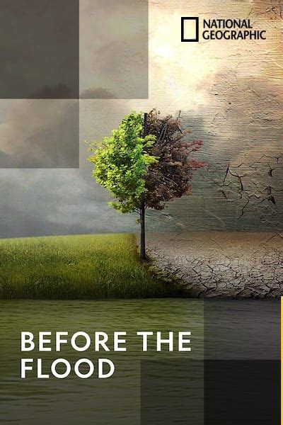 Before the Flood Poster