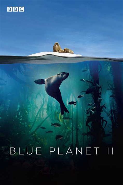 Blue Planet II Poster