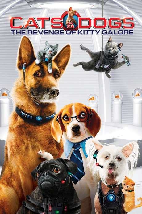 Cats & Dogs Poster