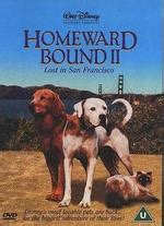Homeward Bound II: Lost in San Francisco Poster