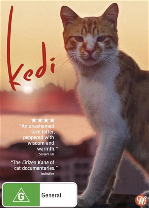 Kedi Poster