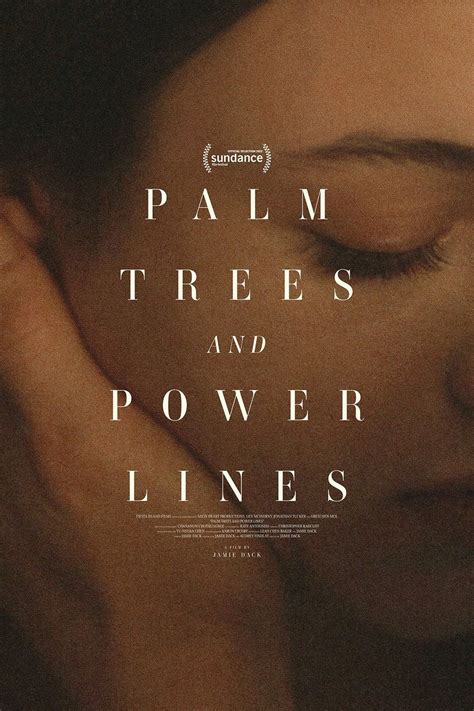 Palm Trees and Power Lines Poster