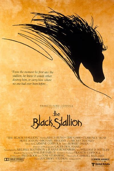 The Black Stallion Poster