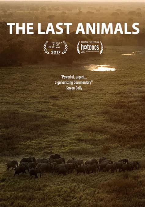 The Last Animals Poster