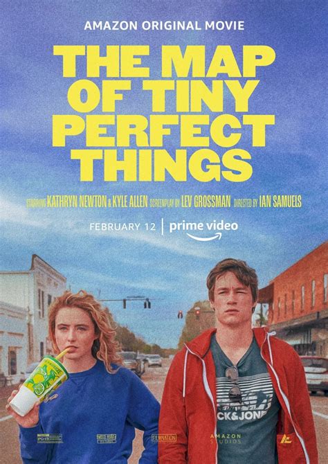 The Map of Tiny Perfect Things Poster