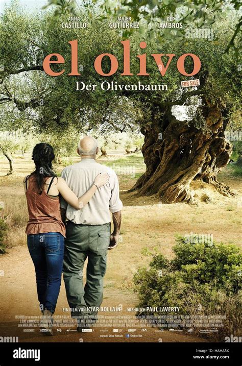 The Olive Tree Poster