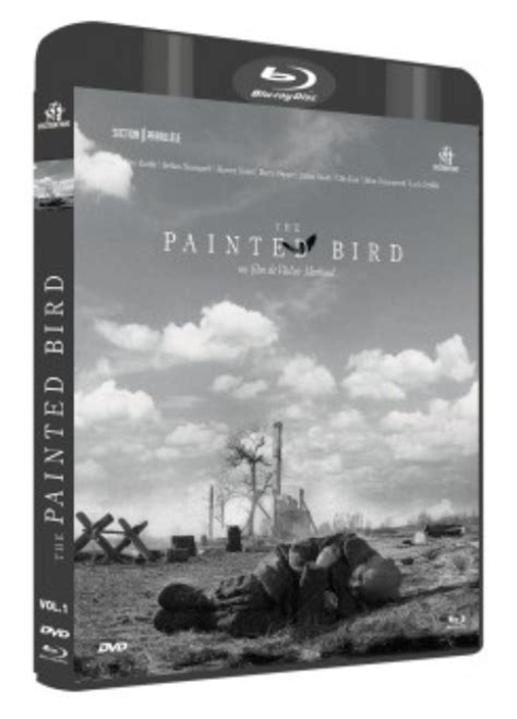 The Painted Bird Poster