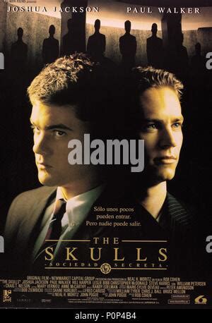 The Skulls Poster