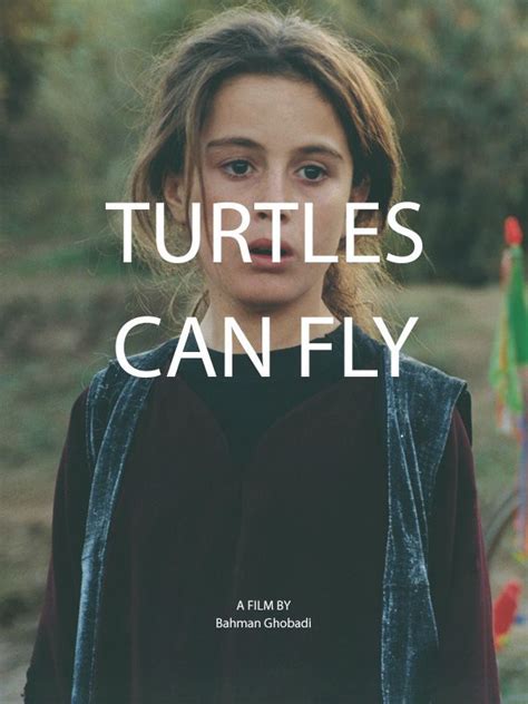 Turtles Can Fly Poster
