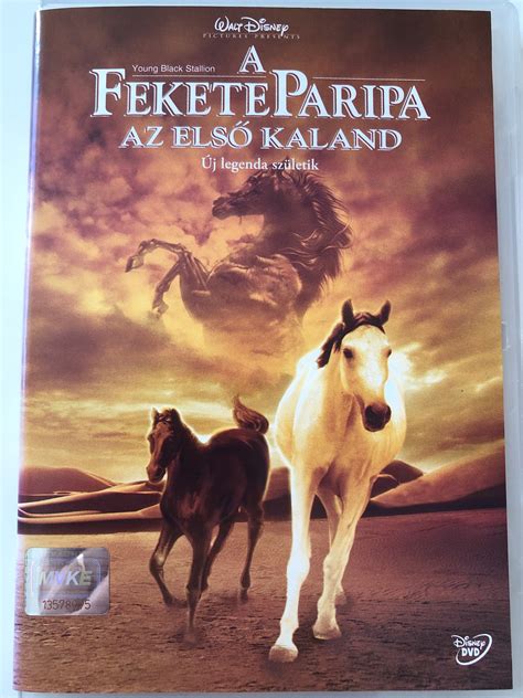 Young Black Stallion Poster